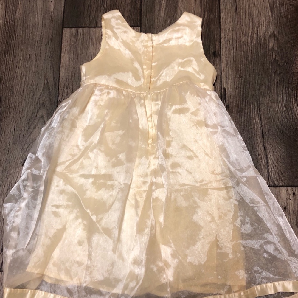 Girls Amanda Rose Floral Organza Party Dress | Pale Yellow | Size 3 - Picture 4 of 5